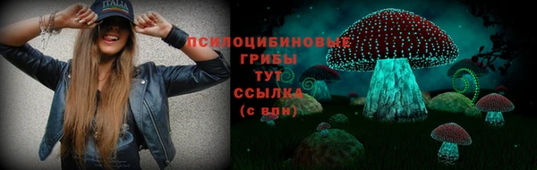 прущие грибы Новодвинск