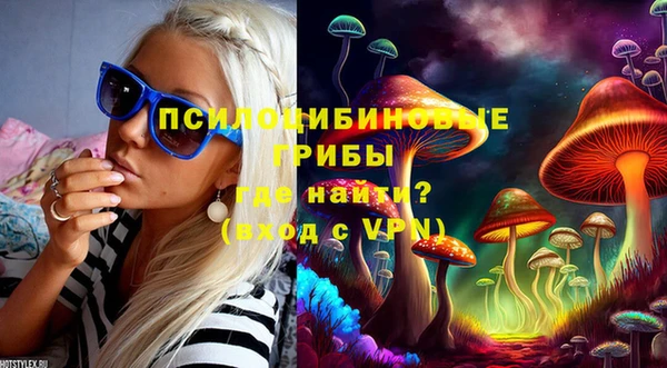 хмурый Нефтекумск