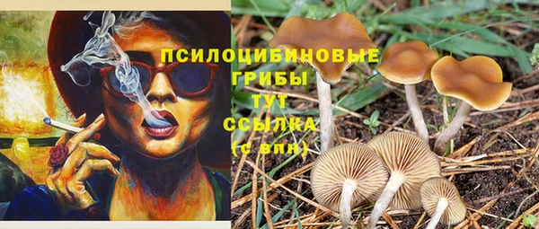 хмурый Нефтекумск
