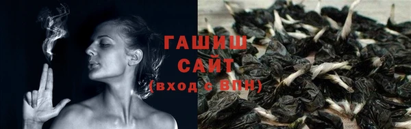 хмурый Нефтекумск