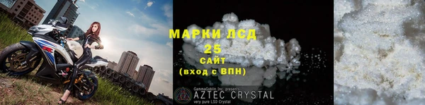прущие грибы Новодвинск