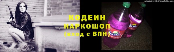 прущие грибы Новодвинск