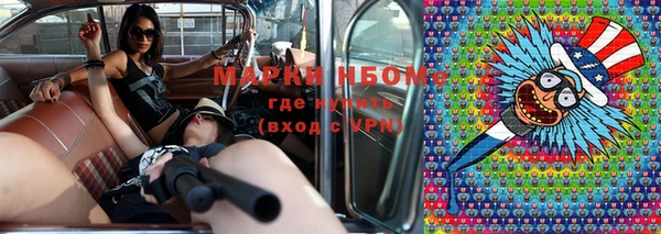 прущие грибы Нея