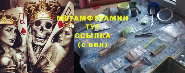 прущие грибы Нея