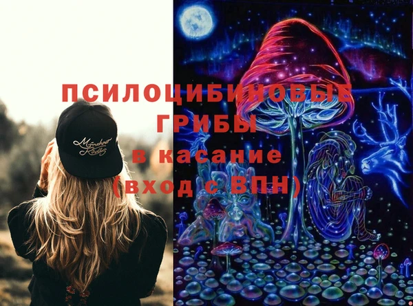 хмурый Нефтекумск