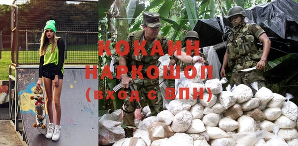 прущие грибы Новодвинск