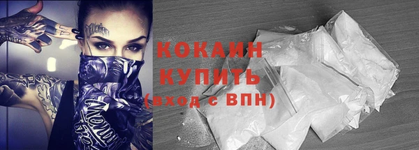прущие грибы Нея