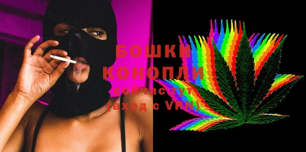 прущие грибы Новодвинск