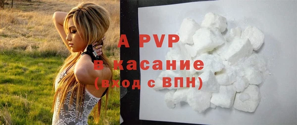 ешки Новокубанск