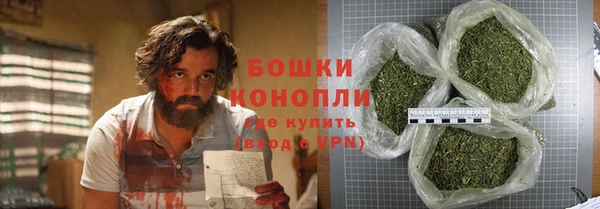 хмурый Нефтекумск