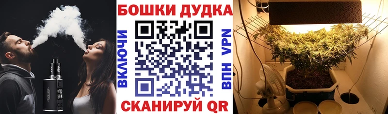 Бошки Шишки MAZAR Нижние Серги